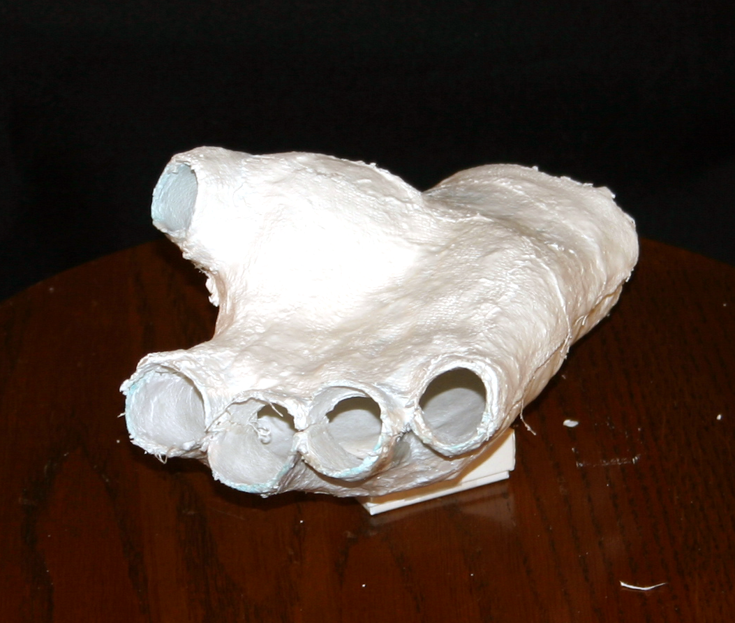 hand_mold_shell_05.png