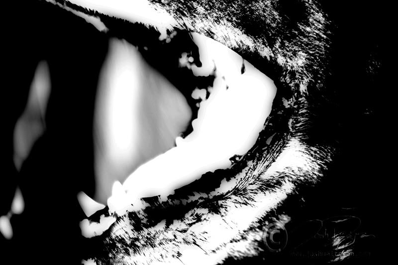 IMAGE: http://i107.photobucket.com/albums/m305/blisshead_2006/bite2.jpg