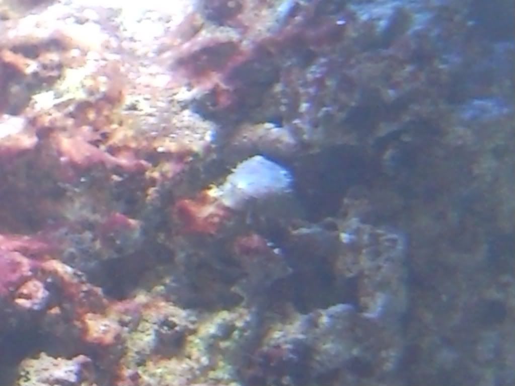 SNC00031-1.jpg