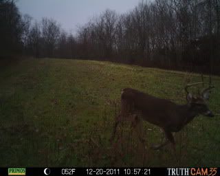 my8pointer.jpg