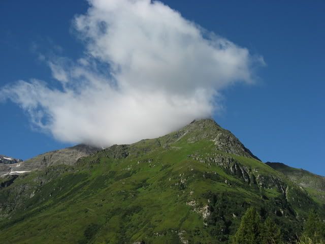 IMG_2801.jpg