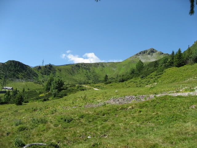 IMG_2860.jpg