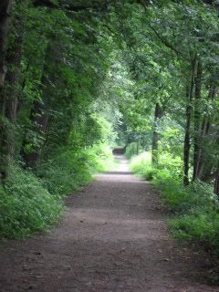 IMG_4156.jpg