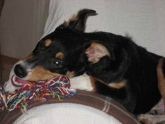 cosi_sofa.jpg