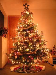 Christmas tree for sunshine Pictures, Images and Photos