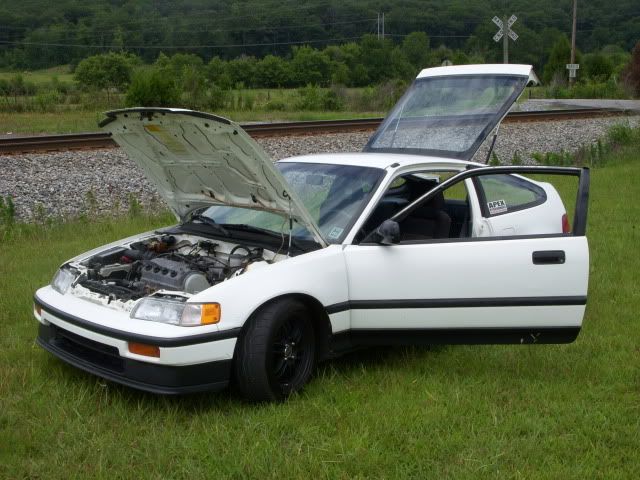 Crx White