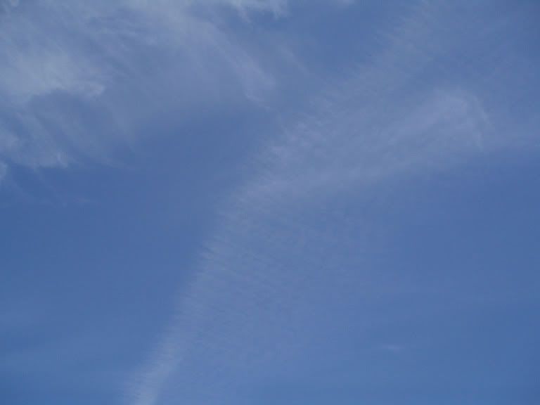 Resized Image