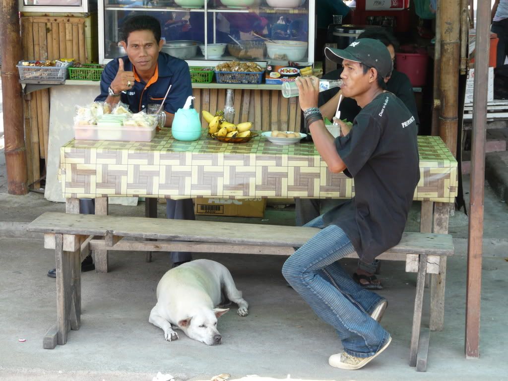 http://i107.photobucket.com/albums/m308/hackneycjohn/BALI%20PHOTOS/P1000925.jpg