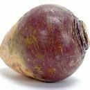 Rutabaga Pictures, Images and Photos