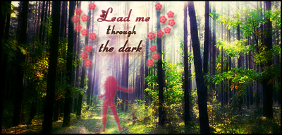 Lead-me-through-the-dark2_zpsddce019b.pn