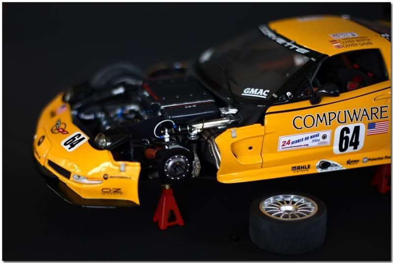 IMAGE: http://i107.photobucket.com/albums/m310/Red73_01/IMG_0149af_edited-1.jpg