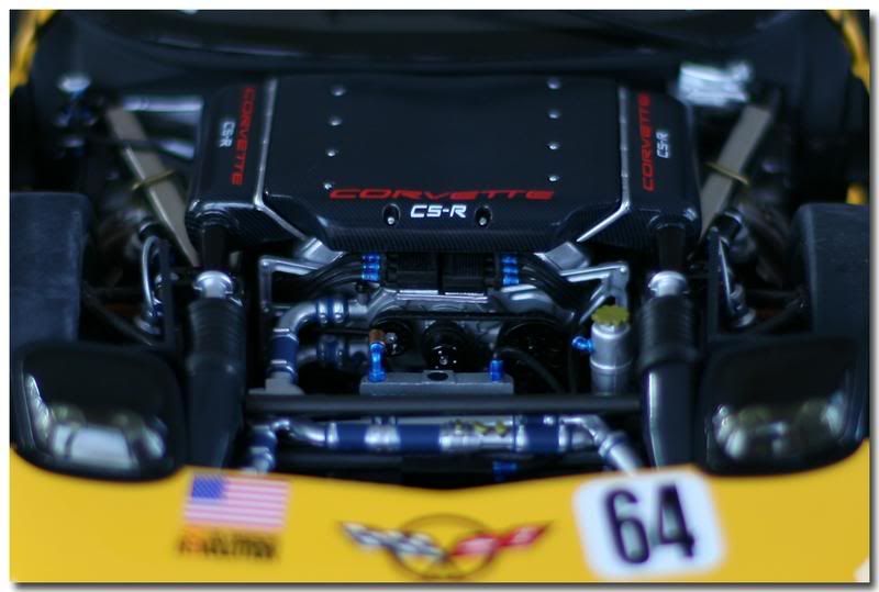 IMAGE: http://i107.photobucket.com/albums/m310/Red73_01/IMG_0153copy.jpg