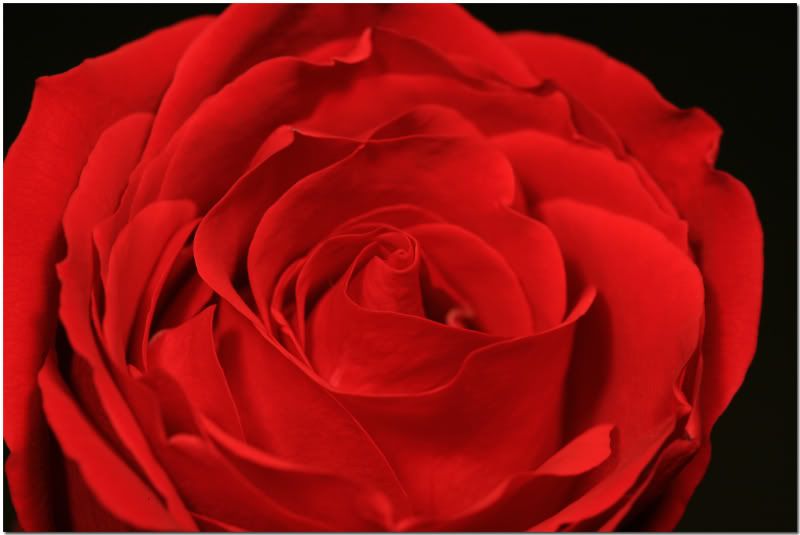 IMAGE: http://i107.photobucket.com/albums/m310/Red73_01/IMG_0745f.jpg