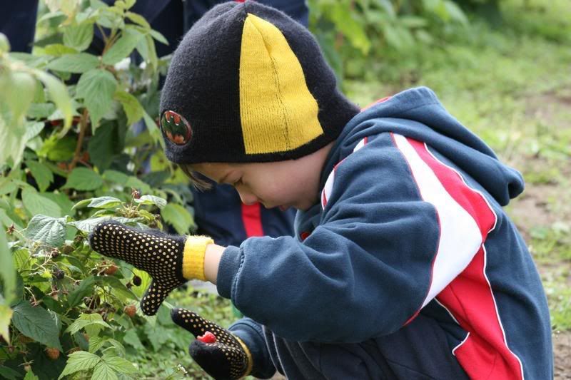 IMAGE: http://i107.photobucket.com/albums/m310/Red73_01/IMG_0849.jpg