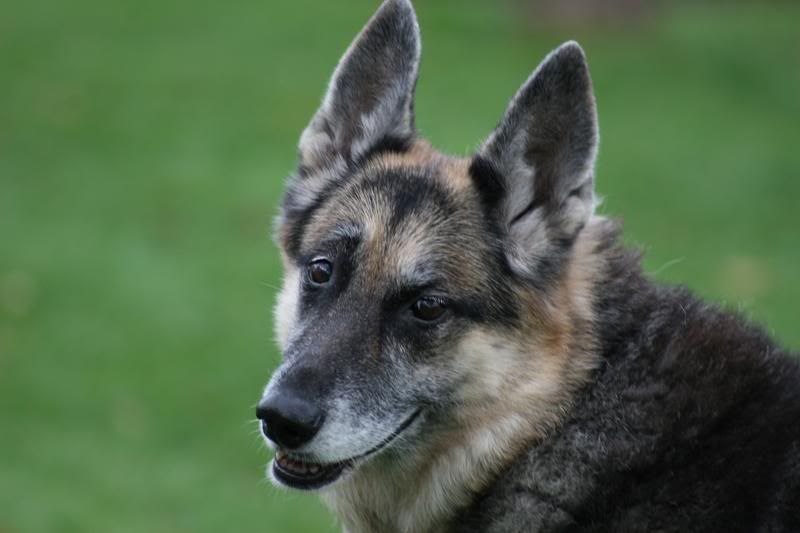 IMAGE: http://i107.photobucket.com/albums/m310/Red73_01/IMG_1007.jpg