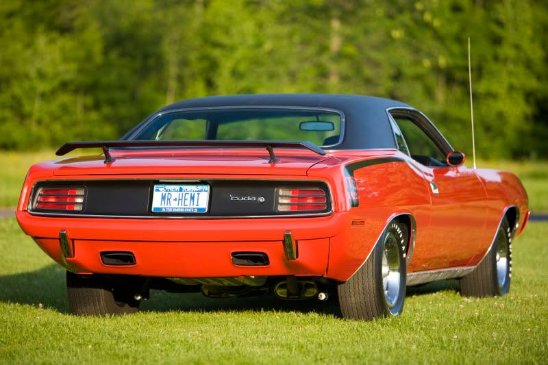 IMAGE: http://i107.photobucket.com/albums/m310/Red73_01/IMG_11664x6.jpg