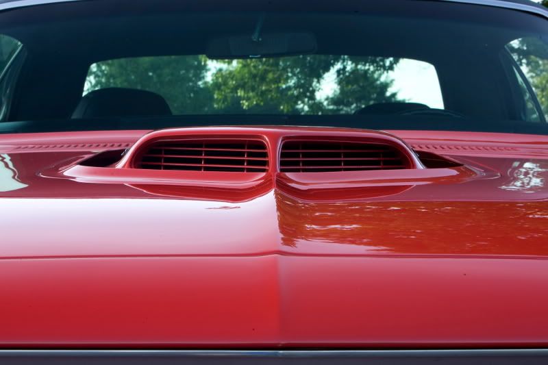 IMAGE: http://i107.photobucket.com/albums/m310/Red73_01/IMG_11924x6.jpg