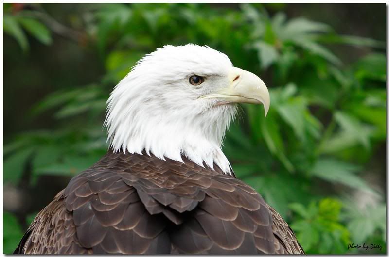 IMAGE: http://i107.photobucket.com/albums/m310/Red73_01/IMG_7220f.jpg