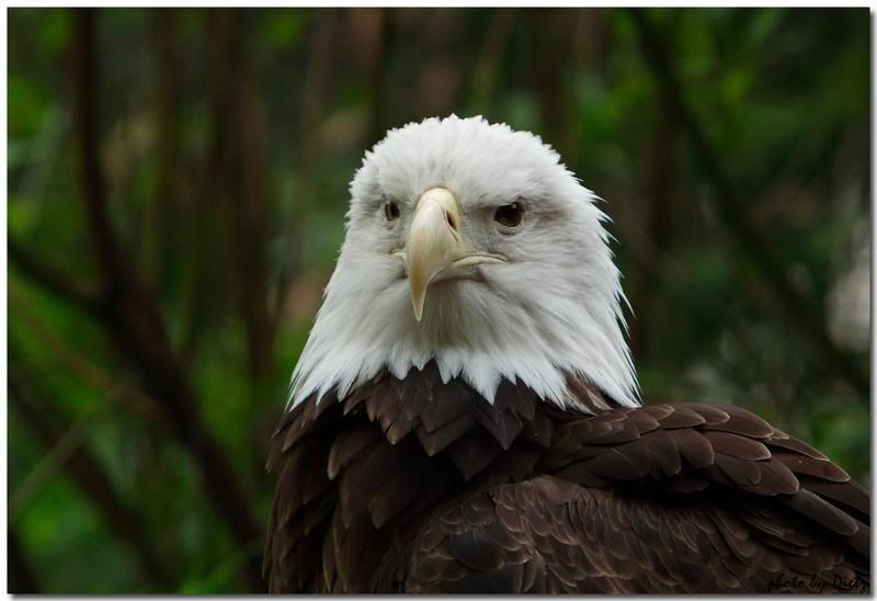 IMAGE: http://i107.photobucket.com/albums/m310/Red73_01/IMG_7230f.jpg