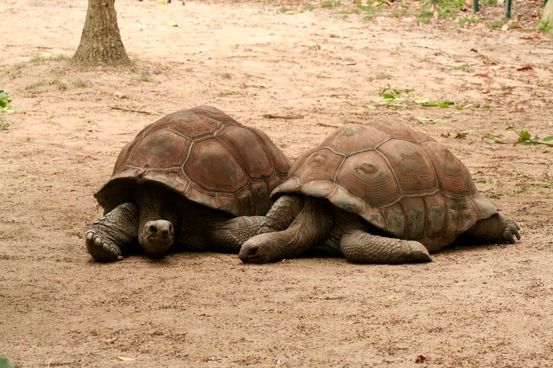 IMAGE: http://i107.photobucket.com/albums/m311/sacmac/_MG_7768.jpg