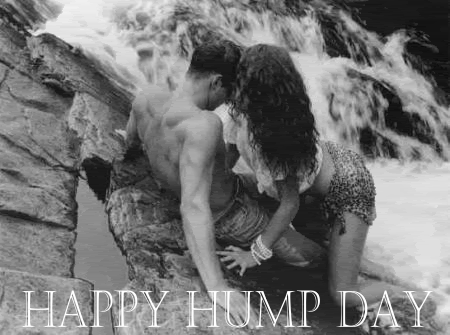 hump day