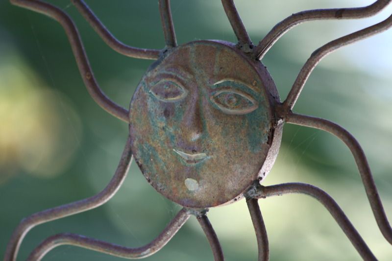 IMAGE: http://i107.photobucket.com/albums/m312/alazg8/Man70-300lens097.jpg