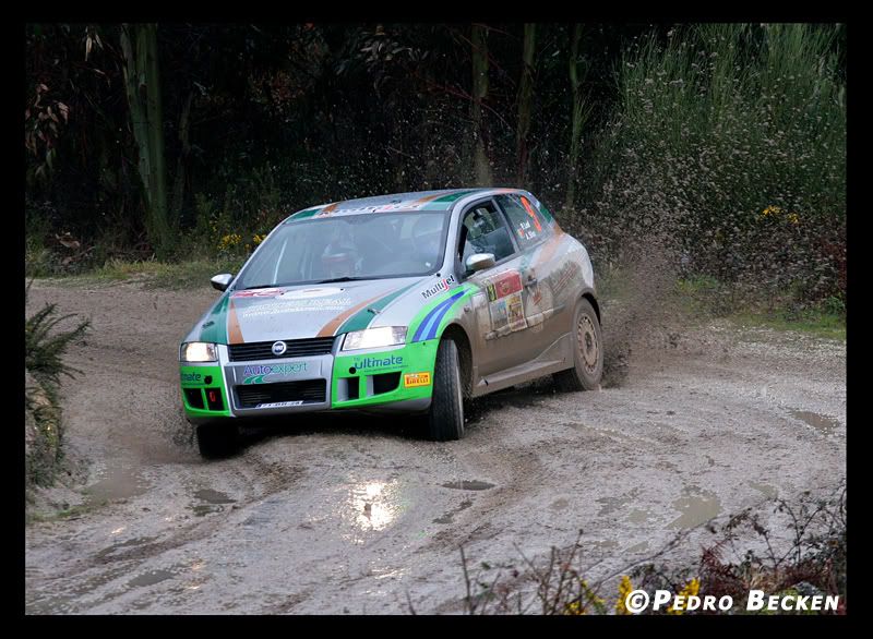 IMAGE: http://i107.photobucket.com/albums/m312/pbecken/apea_fiatbravo_9.jpg