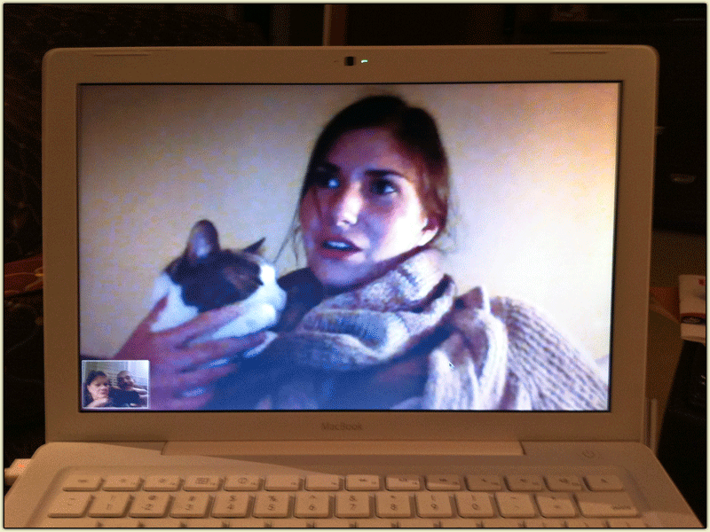 Skyping with the Mistress and Bernie