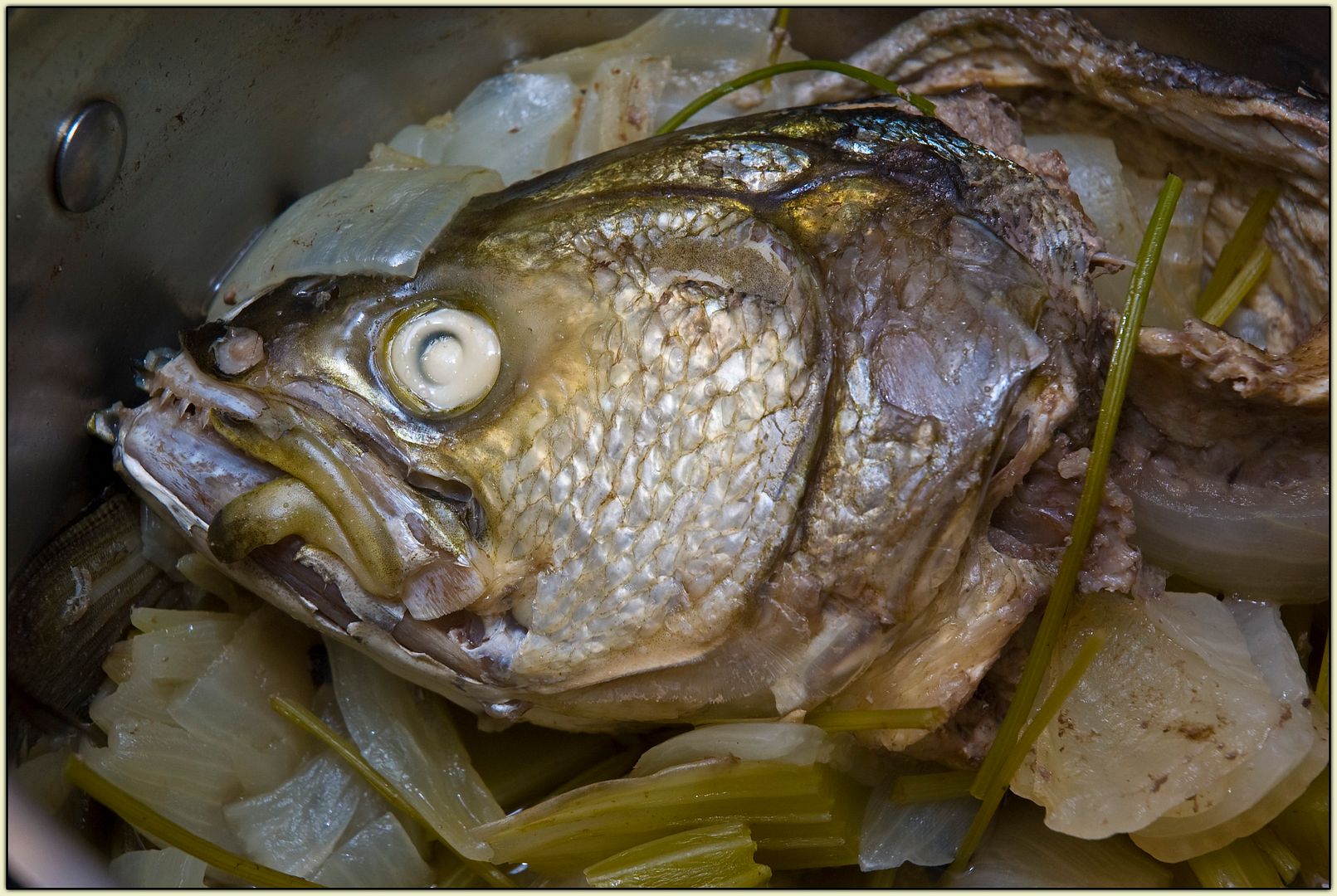 Fish Head