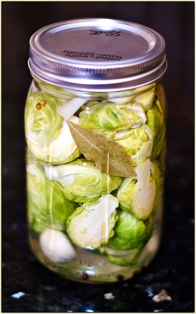 Pickled Brussels sprouts