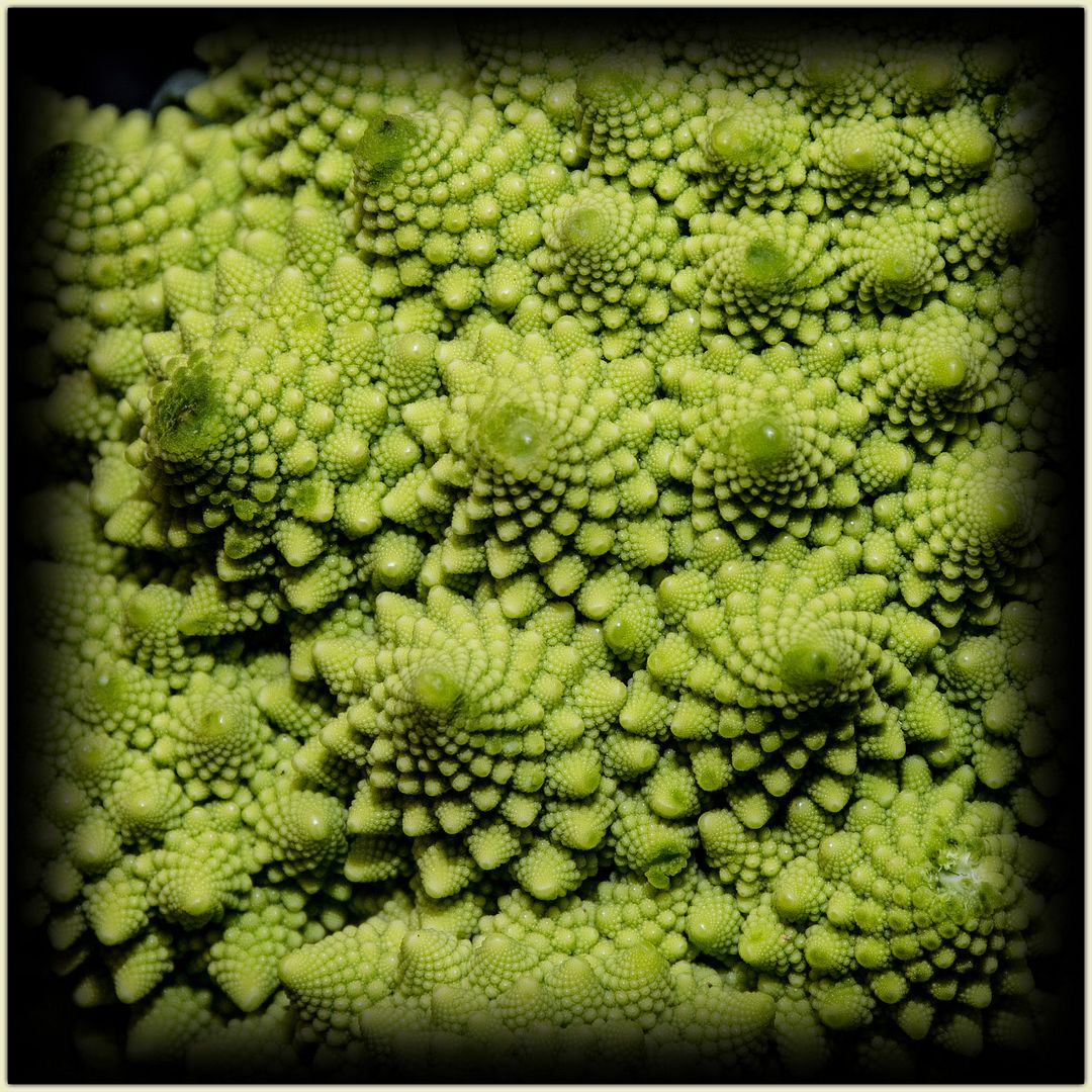 Romanesco