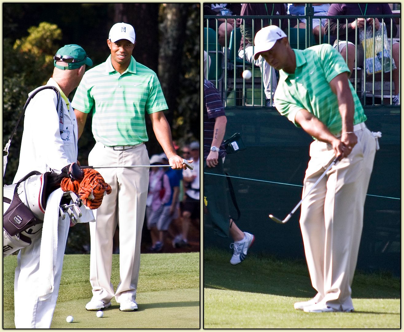 Tiger Woods Diptych