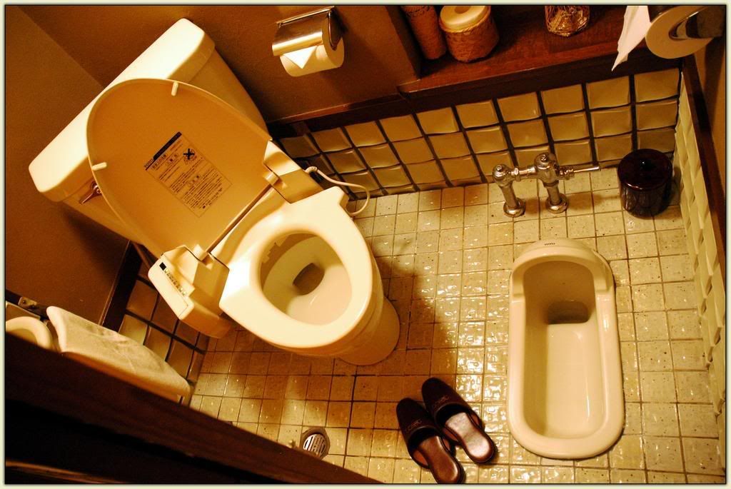 The Japanese Toilet