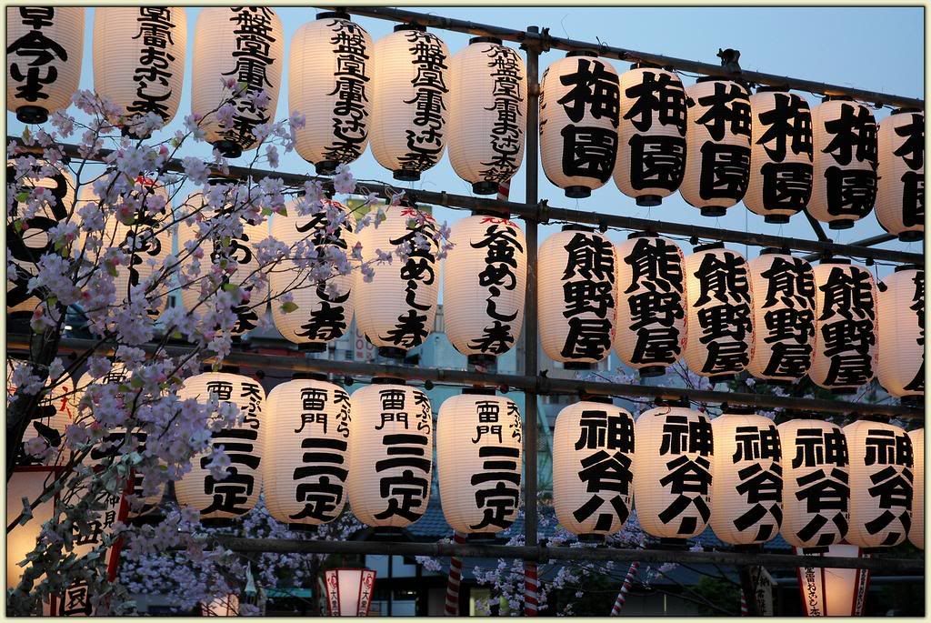 Japanese Lanterns at Asakusa