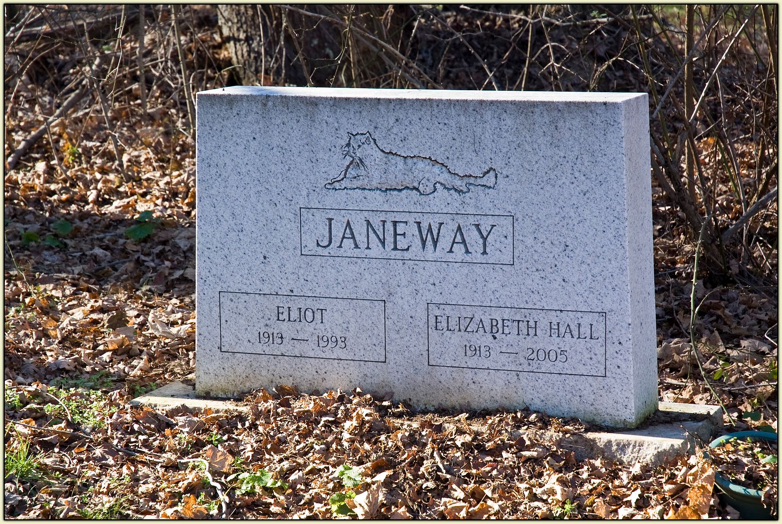 Janeway Grave
