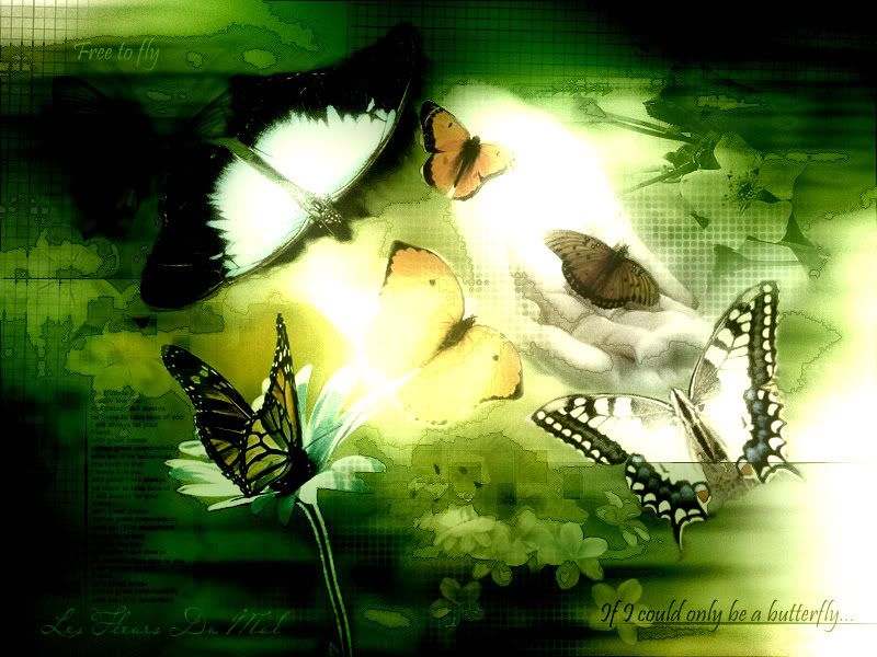 wallpaper butterflies. Butterfly-Green