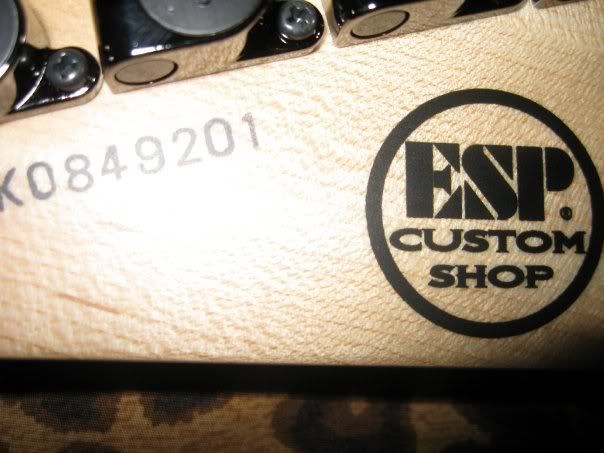Esp Ltd Guitar Serial Number
