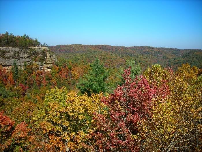 Fall colors, Kentucky Pictures, Images and Photos