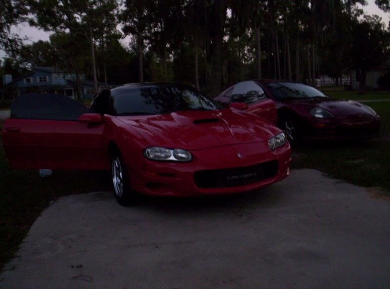100_0239.jpg
