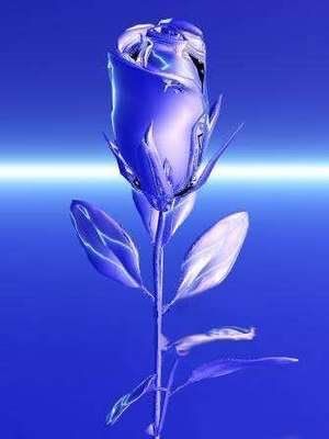 blue_rose.jpg Blue Rose image by lasetzer