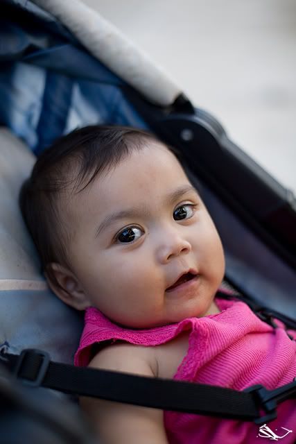 IMAGE: http://i107.photobucket.com/albums/m318/iNfEk/Canon%205D/IMG_2592.jpg