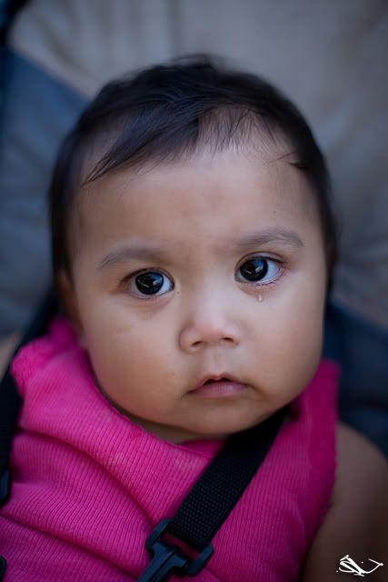 IMAGE: http://i107.photobucket.com/albums/m318/iNfEk/Canon%205D/IMG_2597.jpg