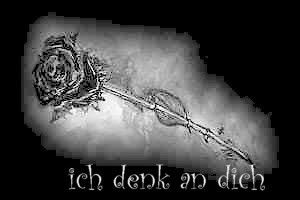 Die Grafik "http://i107.photobucket.com/albums/m319/judon/Schwarze_Rose_0220bearbeitet.jpg" kann nicht angezeigt werden, weil sie Fehler enthlt.