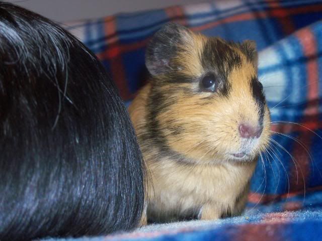 100_1072.jpg