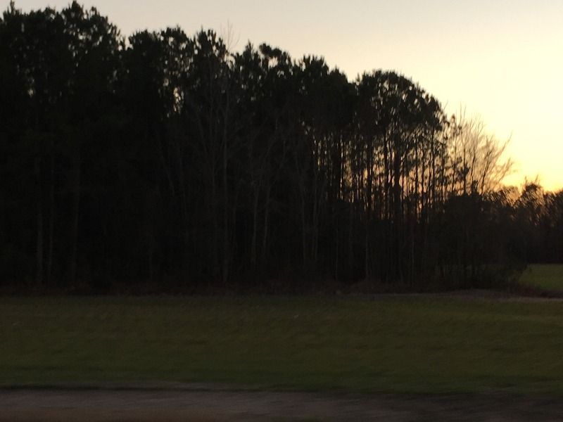 photo IMG_0260.jpg